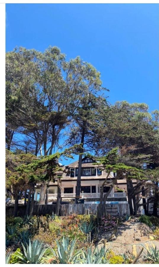 Casa Wilson Villa Zapallar Luaran gambar